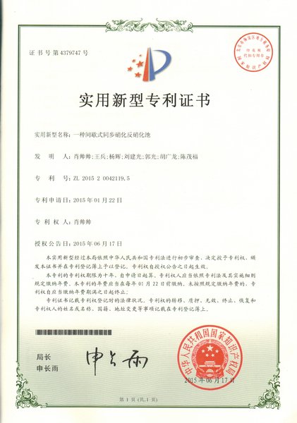 硝化反硝化池.jpg
