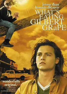 恋恋情深【影视解说】